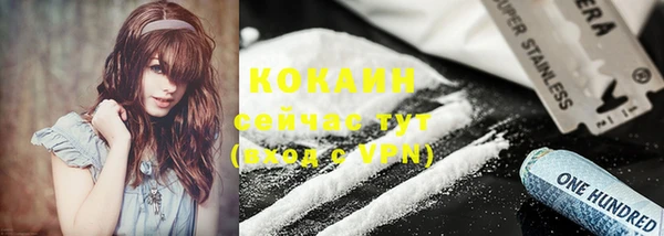 хмурый Вяземский