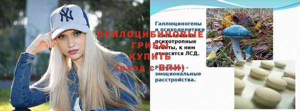 хмурый Вяземский