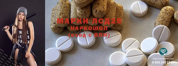 хмурый Вяземский
