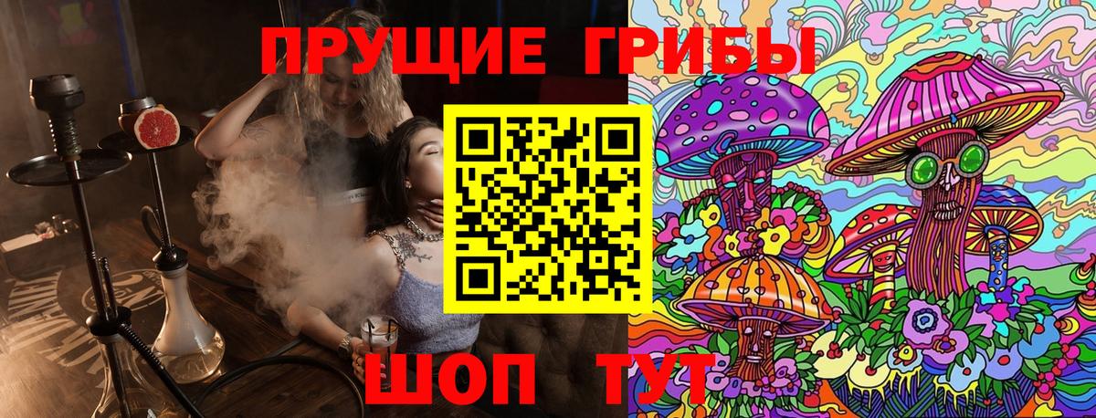 Псилоцибиновые грибы мицелий Гусь-Хрустальный