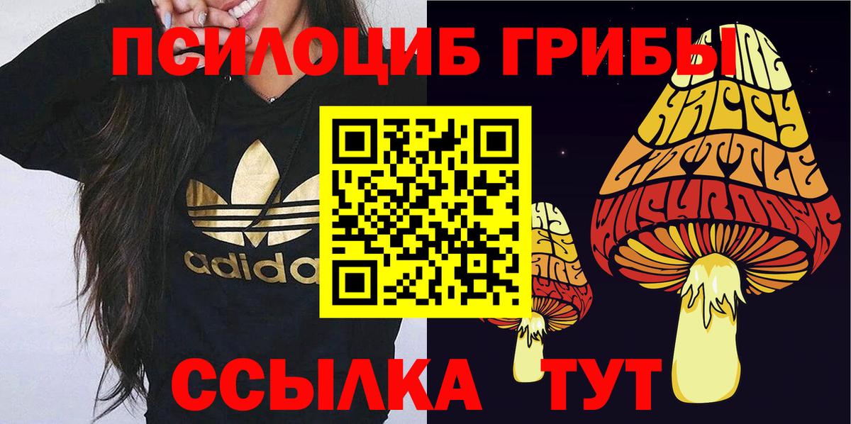 Галлюциногенные грибы Psilocybine cubensis Гусь-Хрустальный