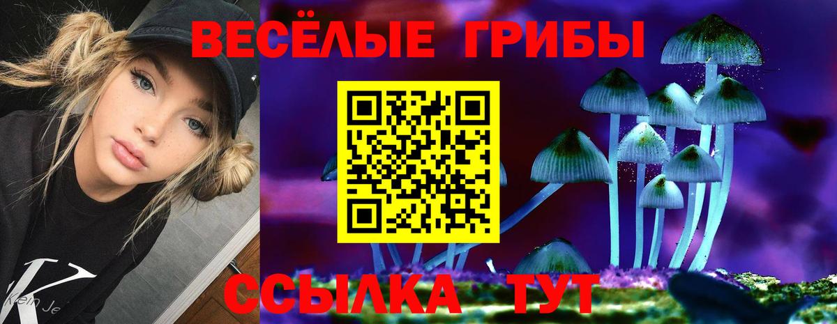 Гусь-Хрустальный  Галлюциногенные грибы Psilocybe  Вход с VPN  Псилоцибиновые грибы прущие грибы 